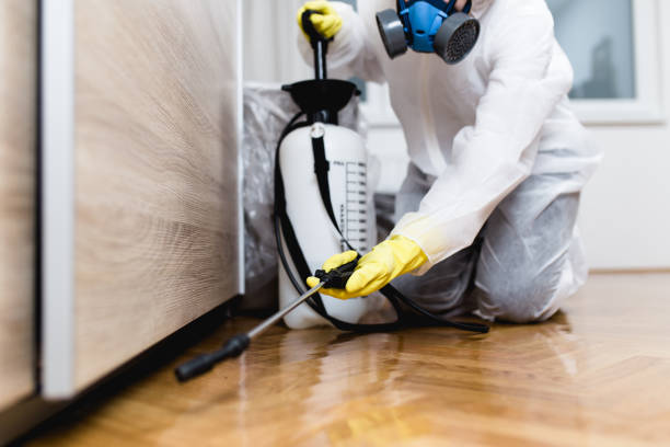 Best Pest Control Near Me  in Meridianville, AL