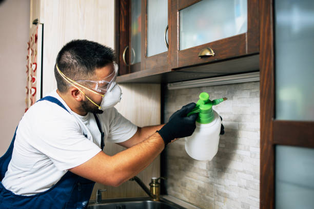 Best Cockroach Control Services  in Meridianville, AL