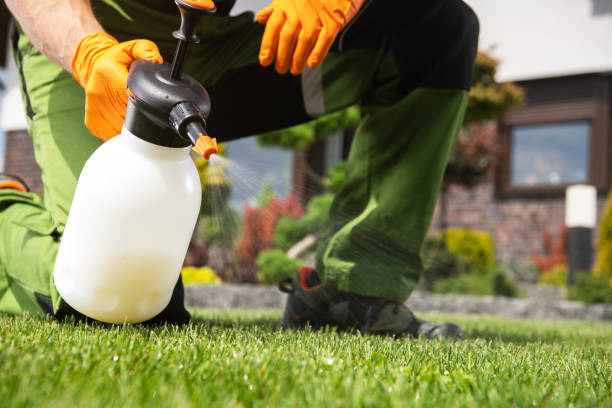 Best Residential Pest Control  in Meridianville, AL