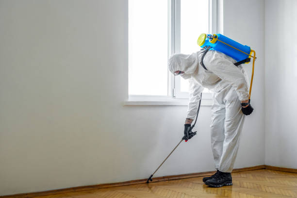 Best Pest Control for Businesses  in Meridianville, AL