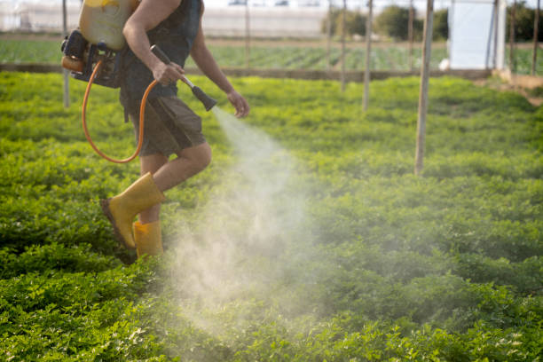 Best Best Pest Control Companies  in Meridianville, AL
