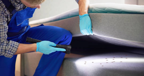 Best Affordable Pest Control Services  in Meridianville, AL