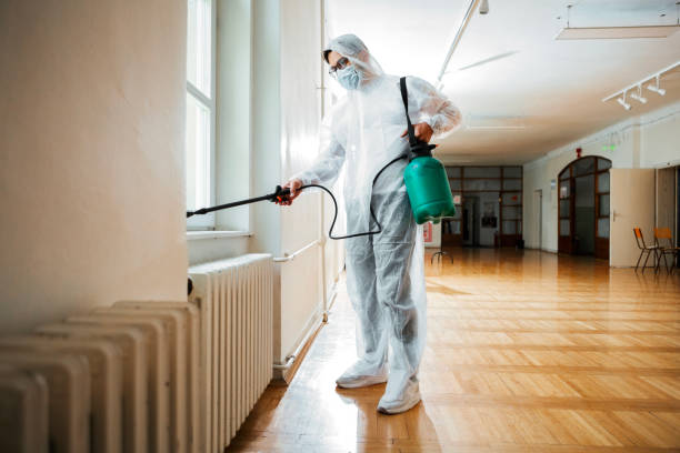 Best Local Pest Control Services  in Meridianville, AL