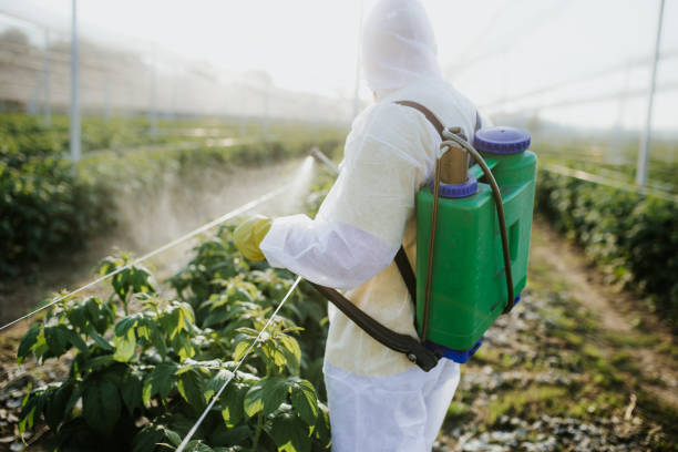 Best Wasp Removal Services  in Meridianville, AL